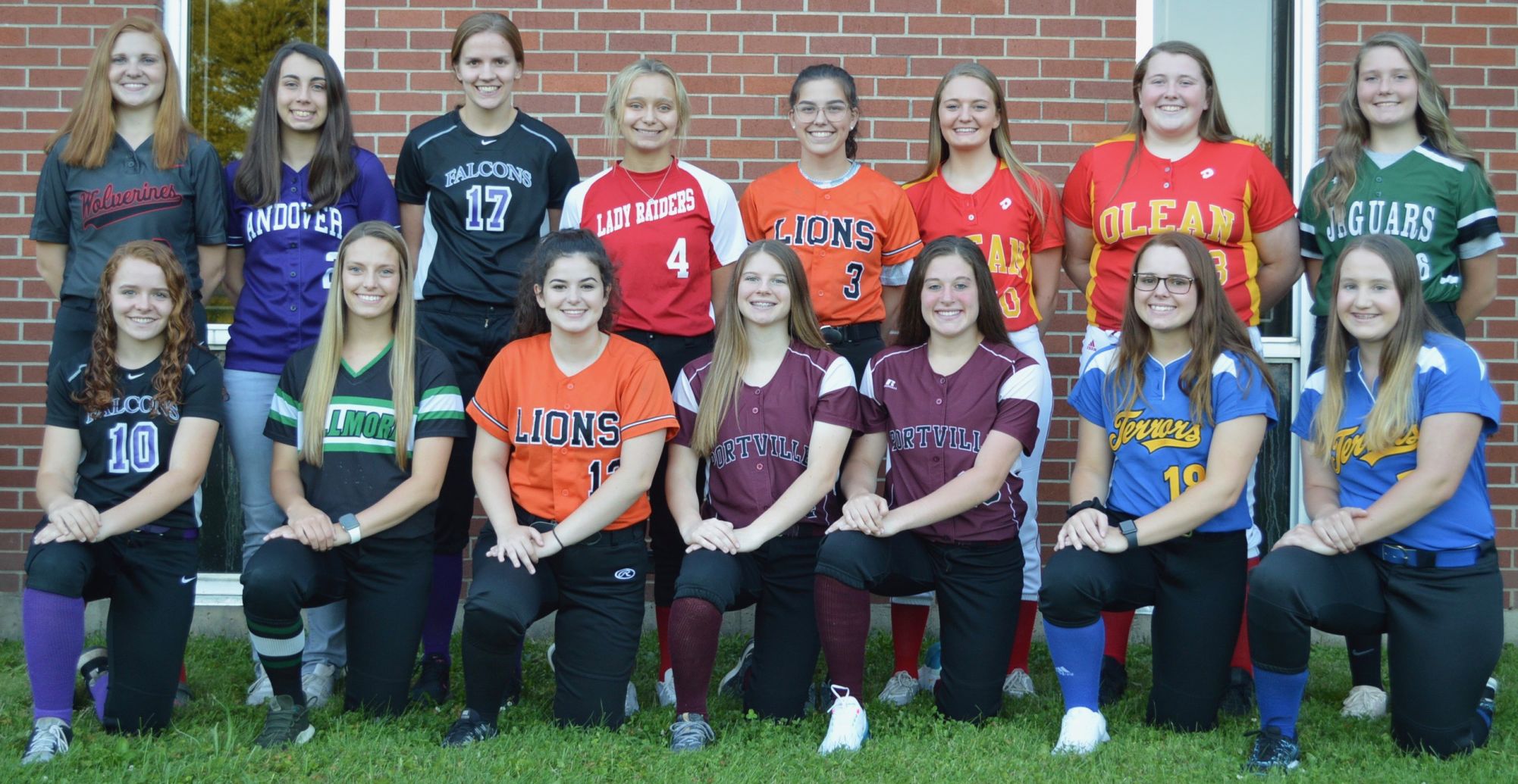 2019 Softball All-Stars